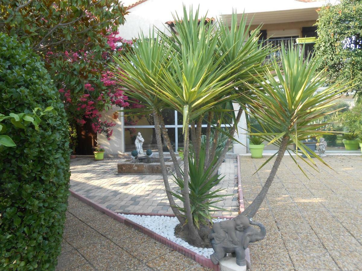 Maison Monica Exeptionnel-Jardin paysage ZEN Coursan Exterior foto