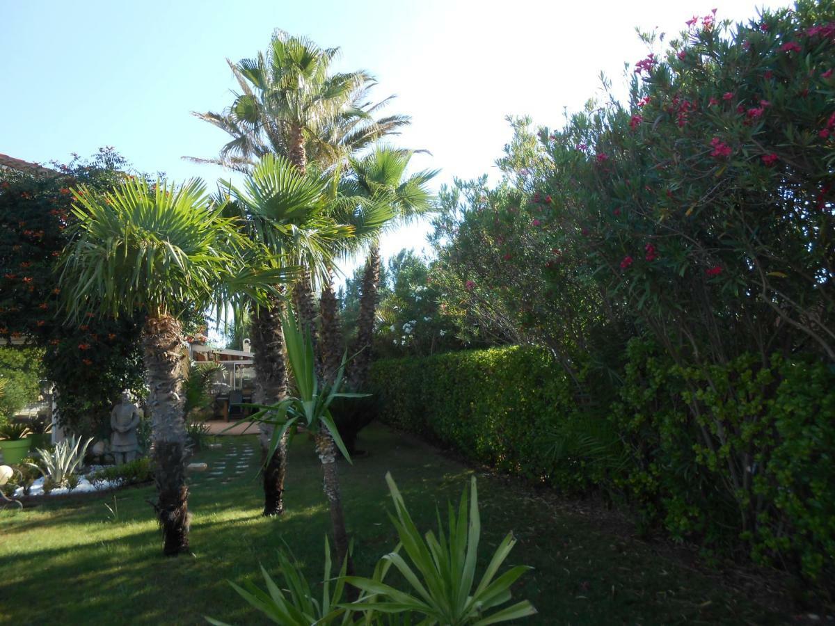 Maison Monica Exeptionnel-Jardin paysage ZEN Coursan Exterior foto